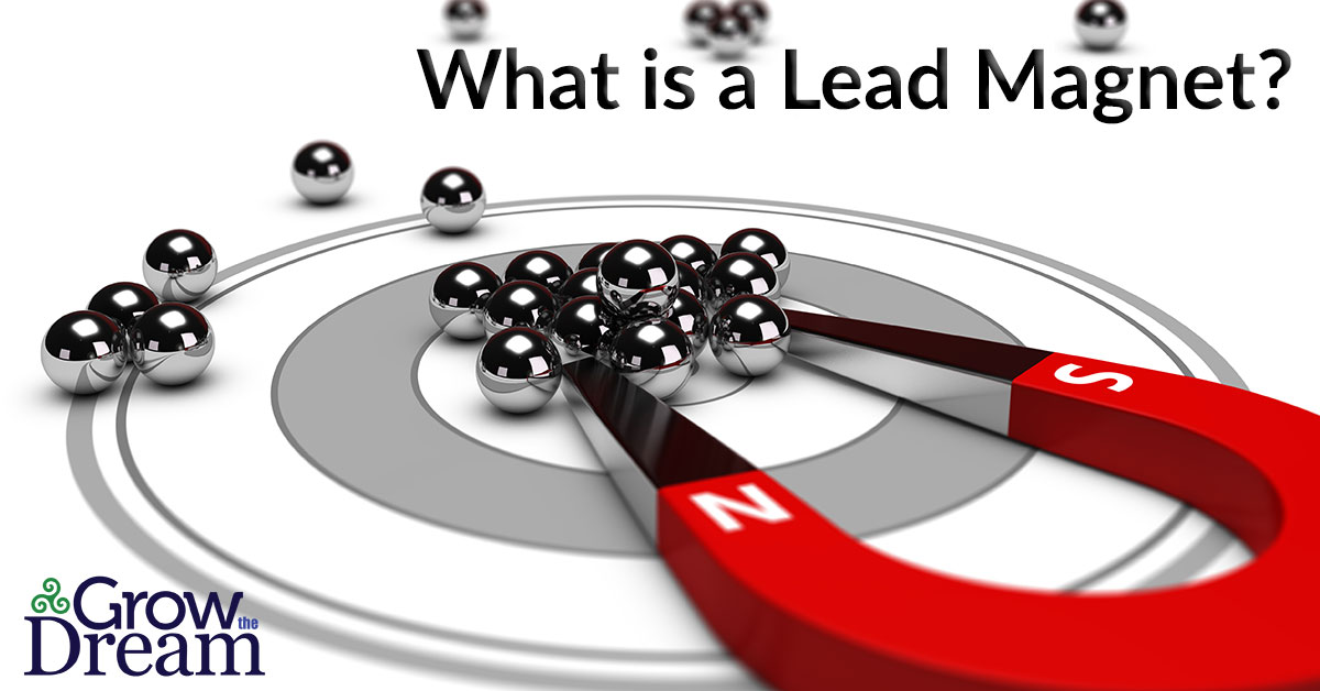 What is a Lead Magnet?