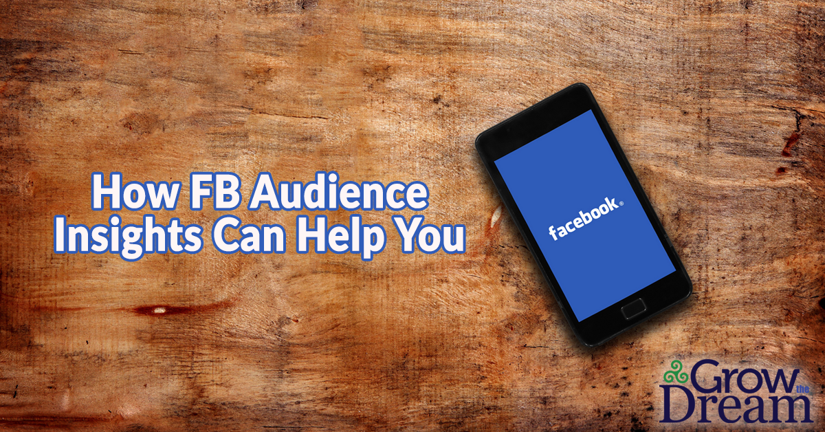 How Facebook Audience Insights Can Help Build Your Business