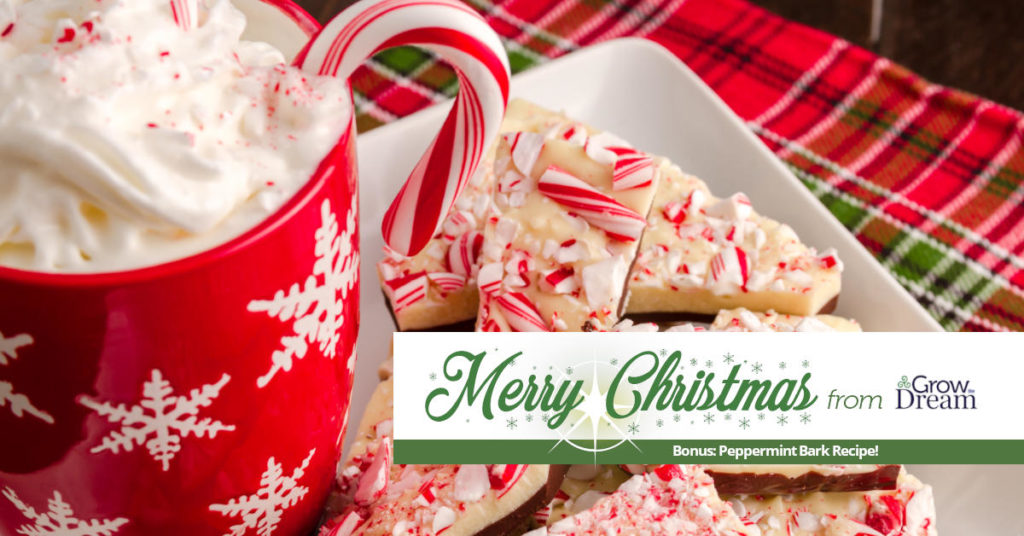 Merry Christmas from Grow The Dream